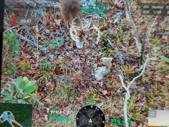 Recovery by Drone Deer Recovery Mid Missouri