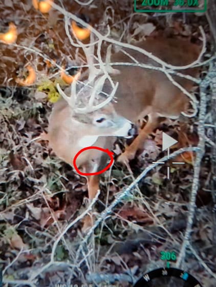 Recovery by Drone Deer Recovery Mid Missouri
