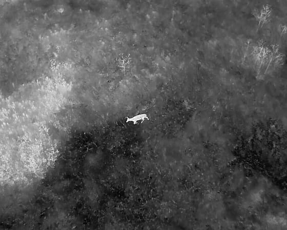 Recovery by Rural Recon Drone Services LLC